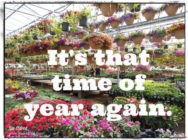 It's that time of year again