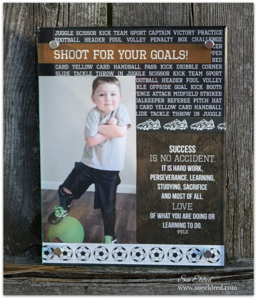 Shoot for your Goals 9260