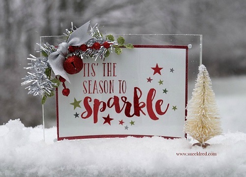 Sue Eldred's Holiday Sparkle Frame