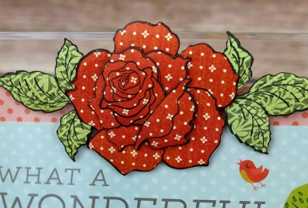 Flower Close Up 5015