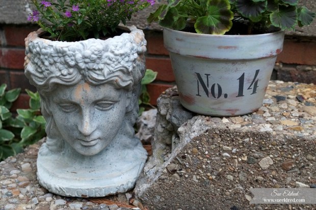 Terra Cotta Pot Close Up 7478