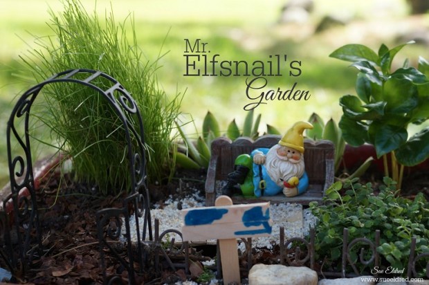Mr. Elfsnail's Garden 8202