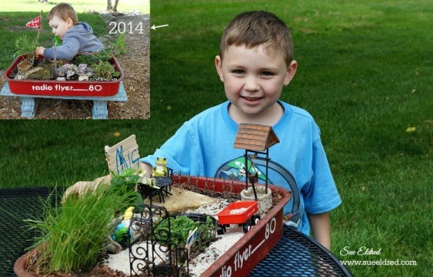 Nick and Mr. Elfsnail's Garden with insert