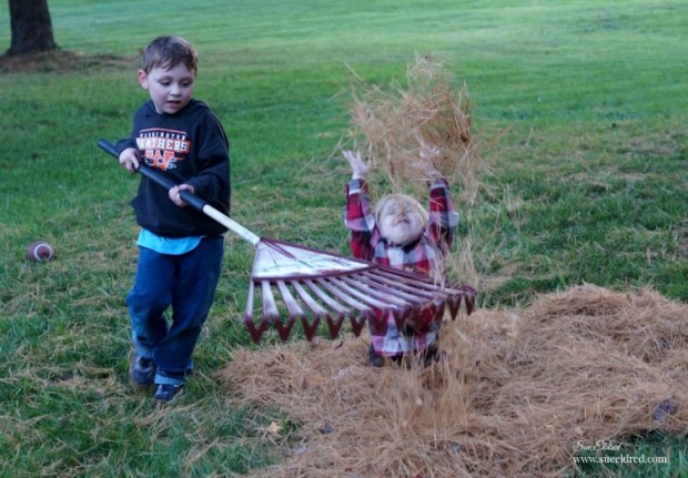 playing-in-the-pine-needles-sues-creative-workshop1872