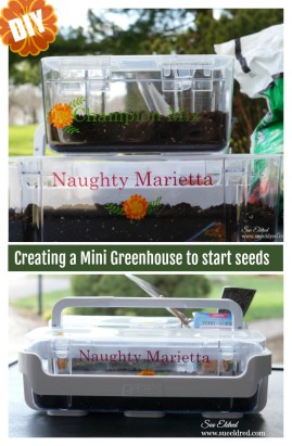 DIY-Mini Greenhouse for Starting Seeds-Sue's Creative Workshop www.sueeldred.com