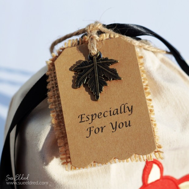 Reusable Fox Gift Bag