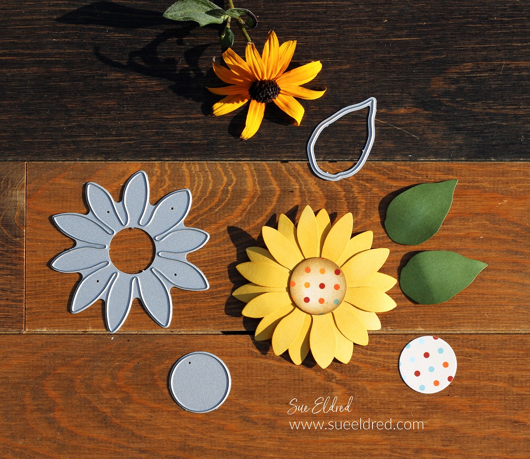 Fall Sunflower Get Well Card