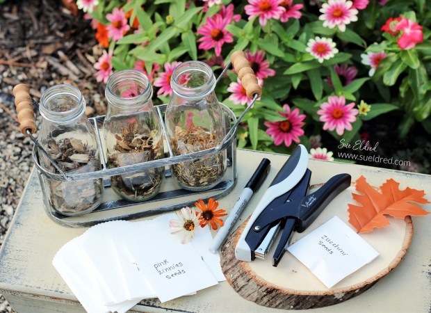 Preserving Flower Seeds in Fall