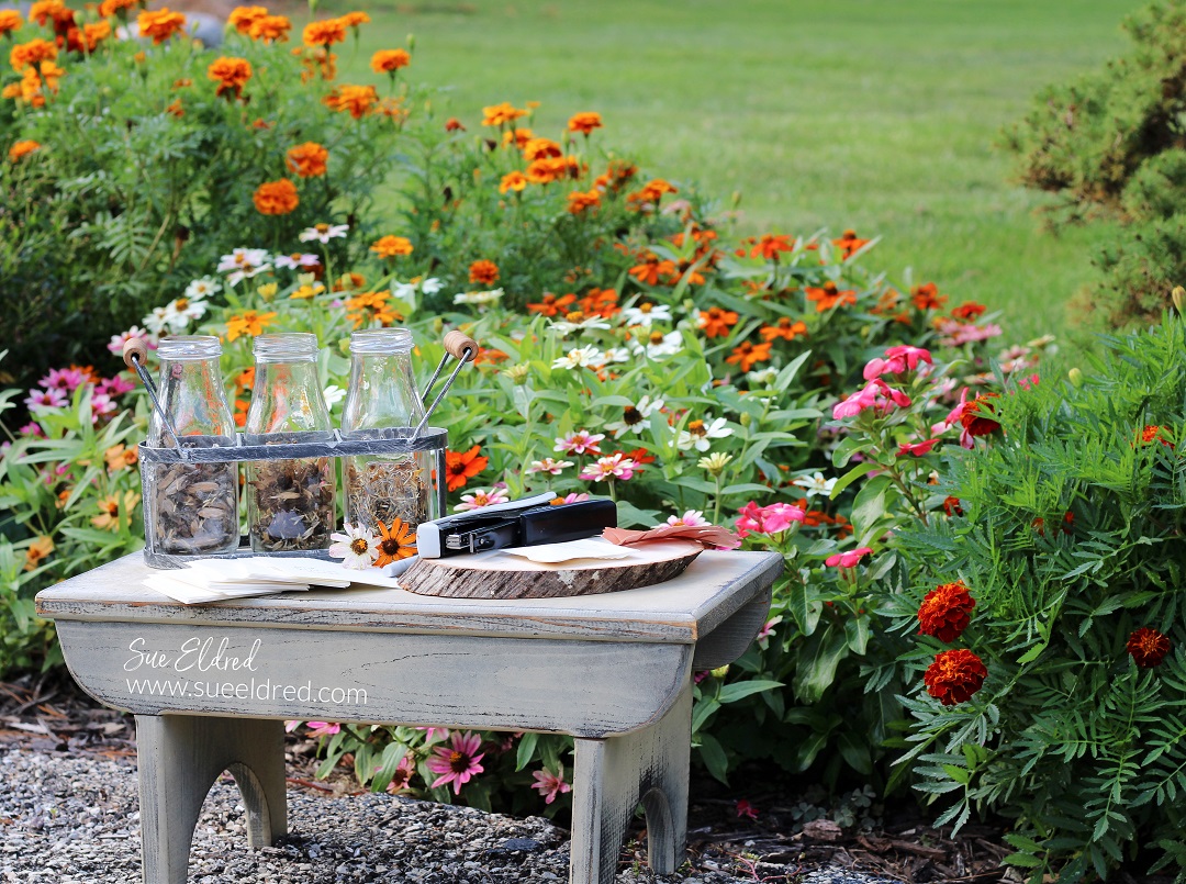 Preserving Flower Seeds in Fall