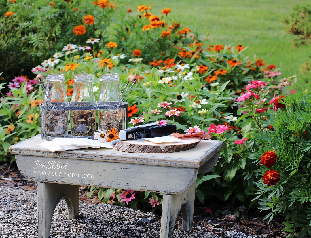 Preserving Flower Seeds in Fall