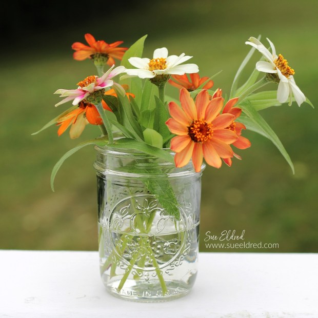 Preserving Flower Seeds in Fall