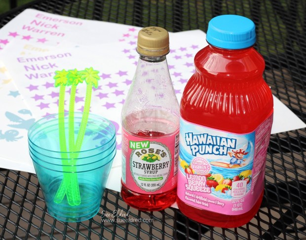 Summer Fun with StyleTechCraft Sun Changing Vinyl