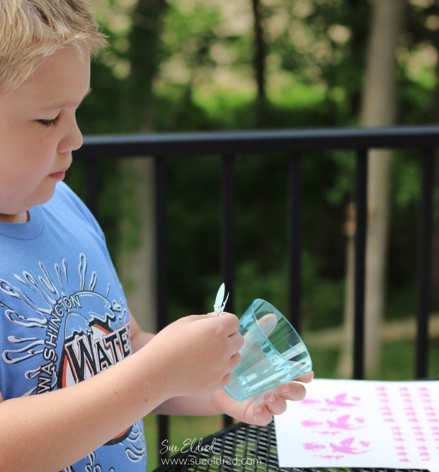 Summer Fun with StyleTechCraft Sun Changing Vinyl