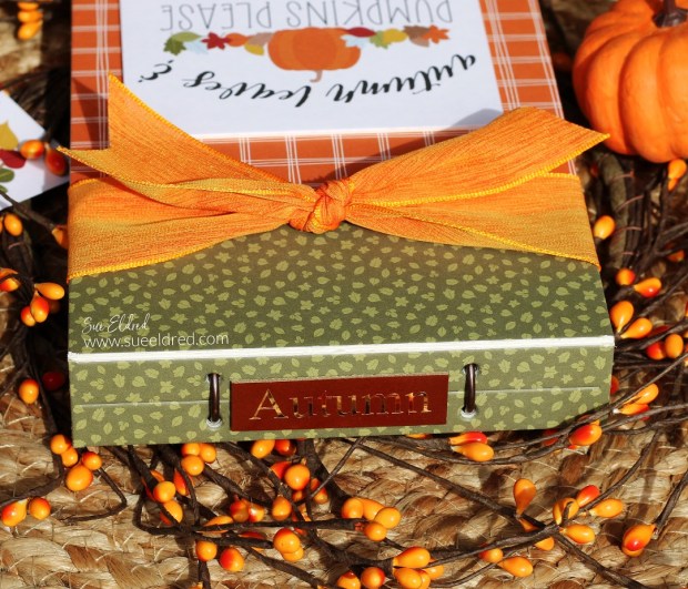 Autumn Leaves & Pumpkins Please Album