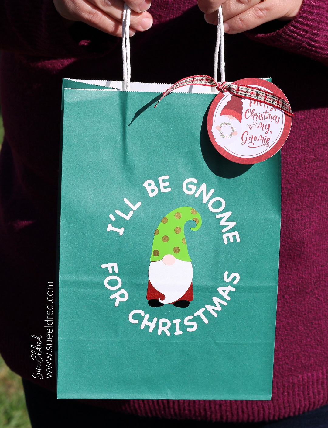 Gnome Themed Party Ideas