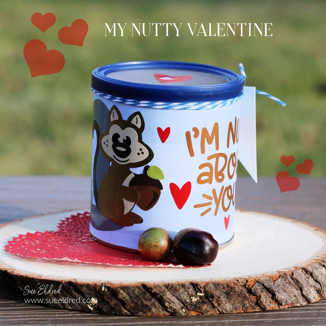 My Nutty Valentine