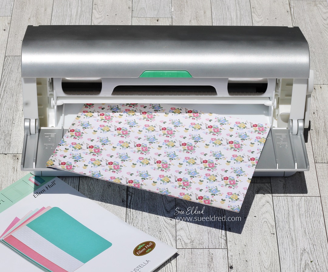 Summer Bloom Mini Album