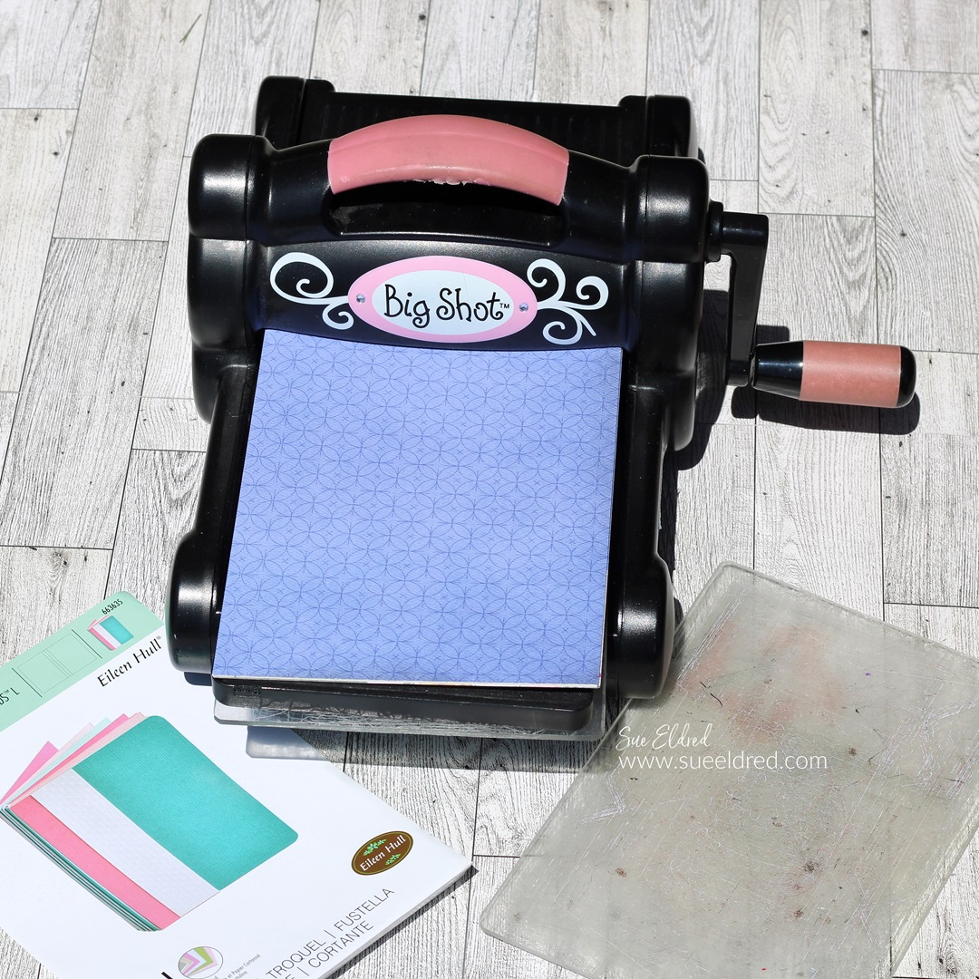 Summer Bloom Mini Album