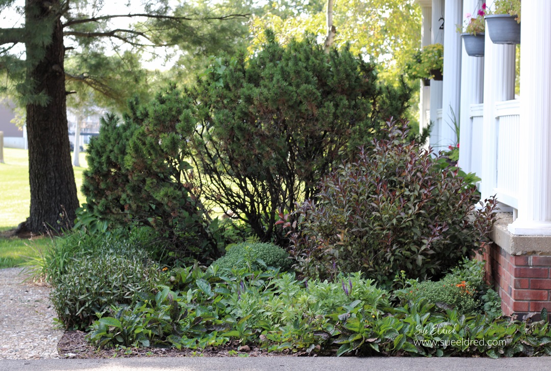 Taking Fall Garden Notes