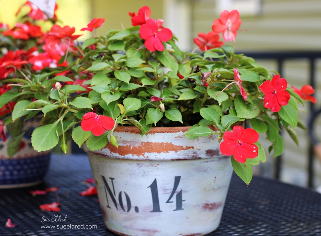 Taking Fall Garden Notes